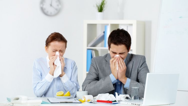 Helyi hírek  Hasznos tippek allergiásoknak